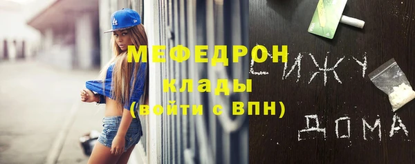 индика Архангельск